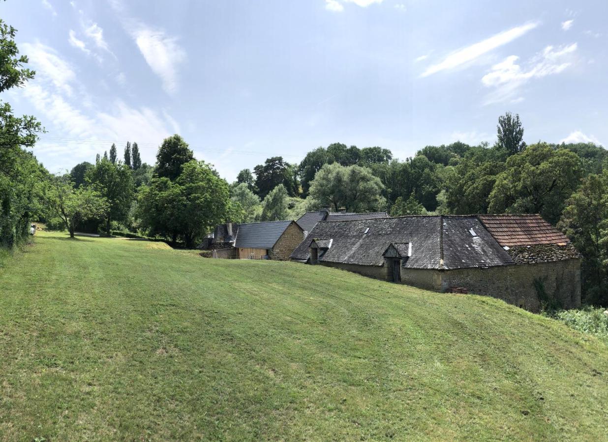 Les Gites Du Fraysse, Au Paradis Des Oiseaux Montignac-Lascaux Esterno foto